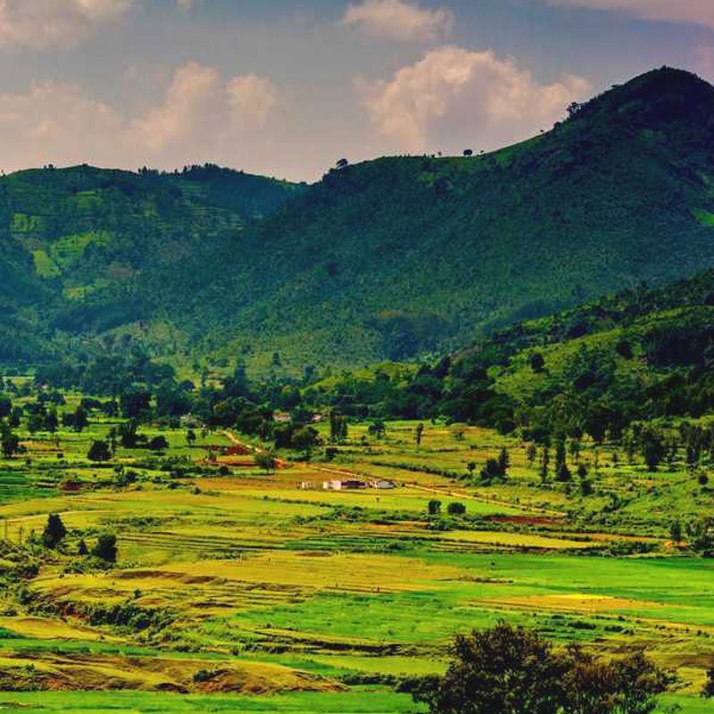 Araku 2 Days Tour Package