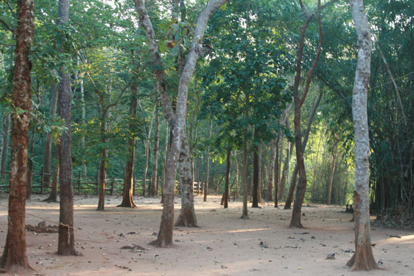 ARAKU MAYURI HARITHA HILL RESORT