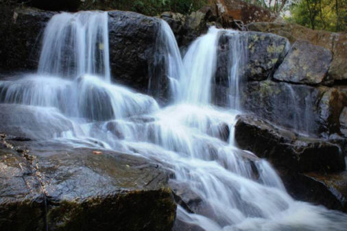 ARAKU MAYURI HARITHA HILL RESORT