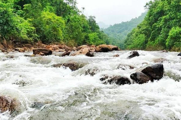 Badrachalam Hotel - Telangana Tourism